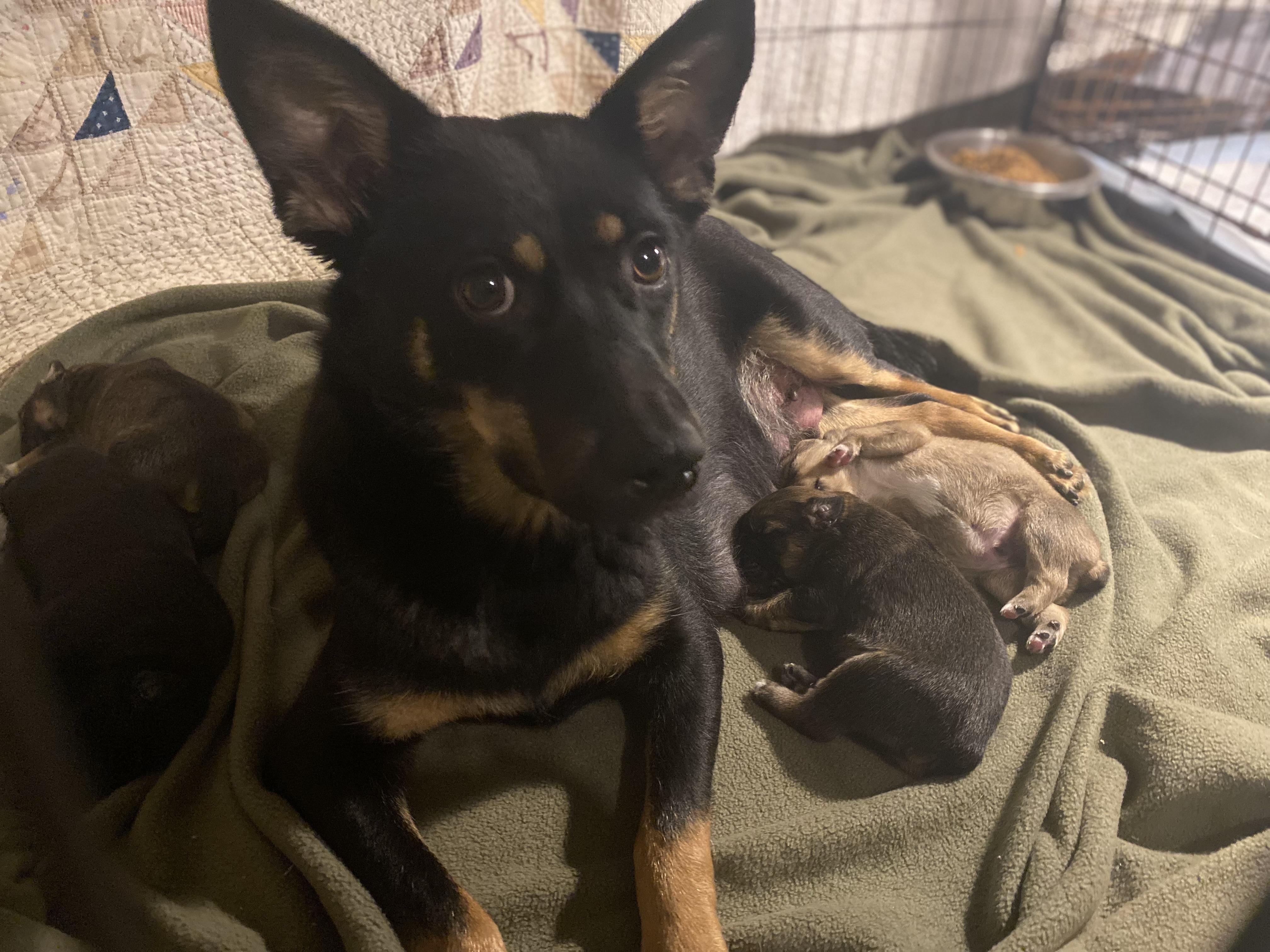 Midnight thumbnail 2