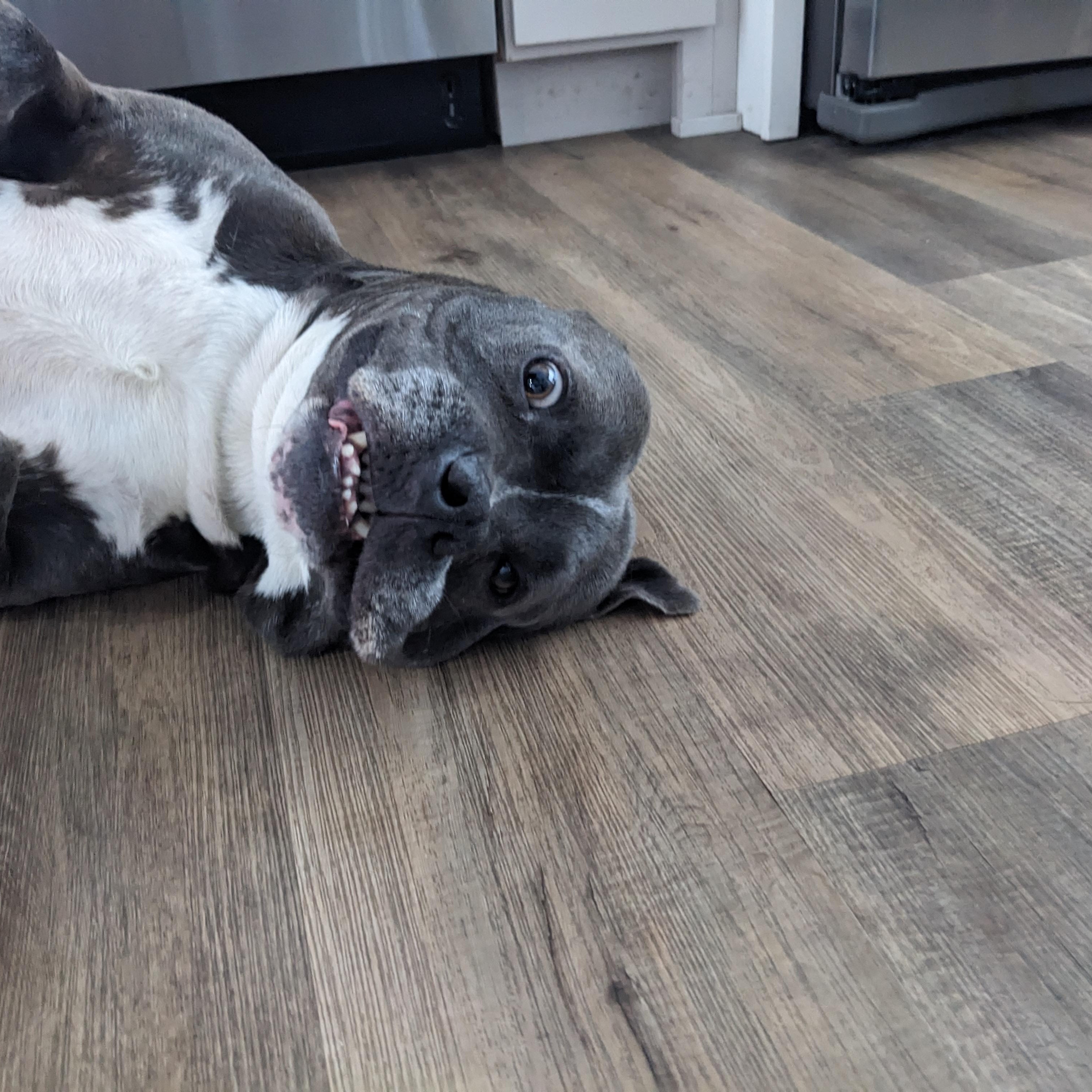 Tyson