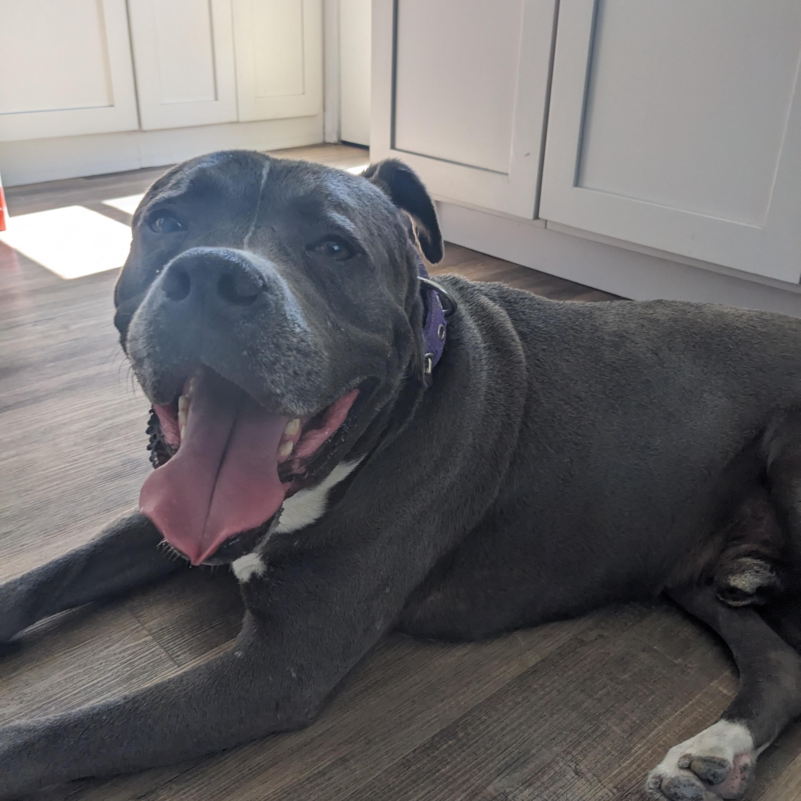 Tyson