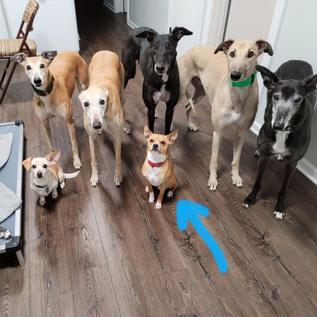 Jeppson — thumbnail 3