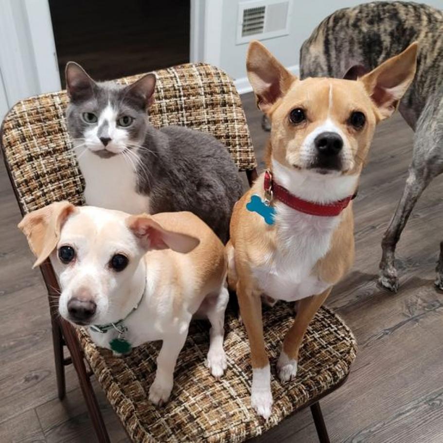 Jeppson — thumbnail 5