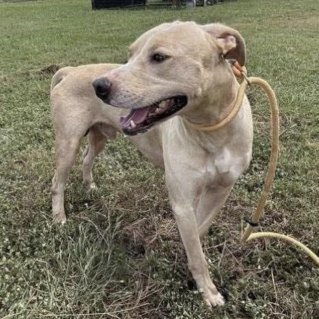 Paddington thumbnail 2