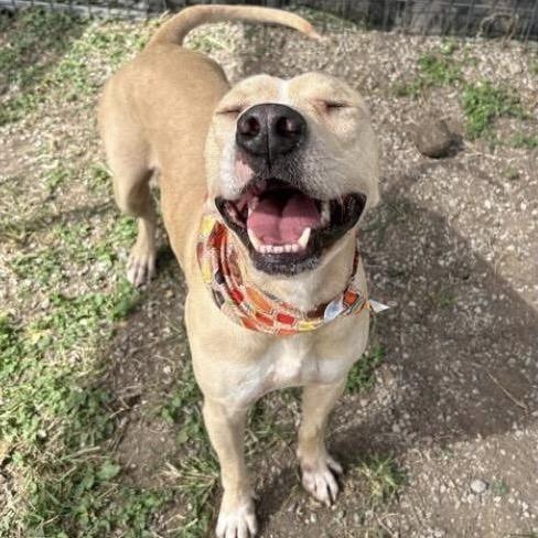 Paddington thumbnail 3