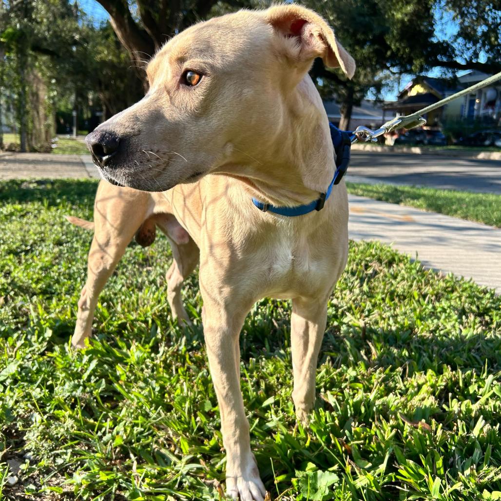 Paddington thumbnail 4