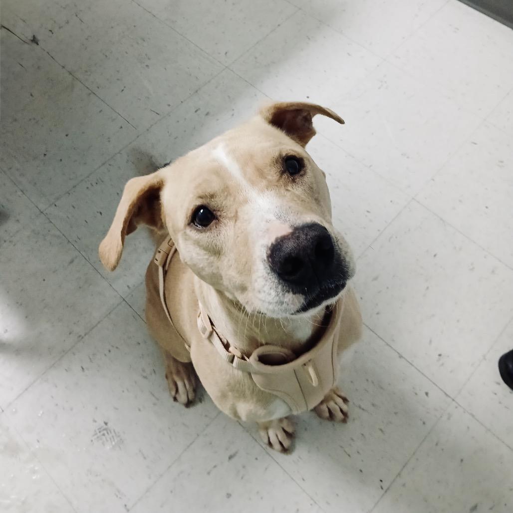 Paddington thumbnail 5