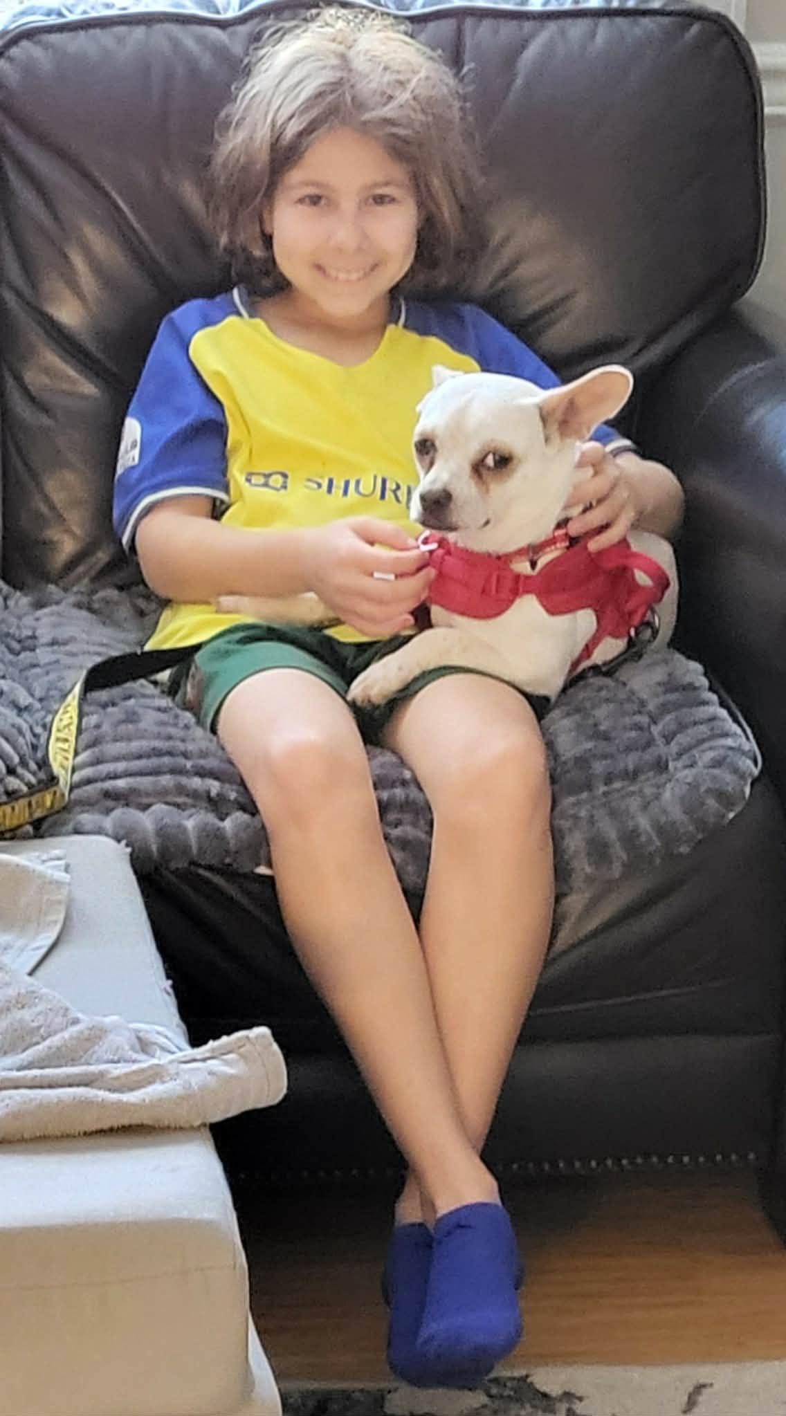 Ashby - IN FOSTER HOME - AVAILABLE TO ADOPT, a Adoptable Chihuahua in Clayton, NC image 3/6