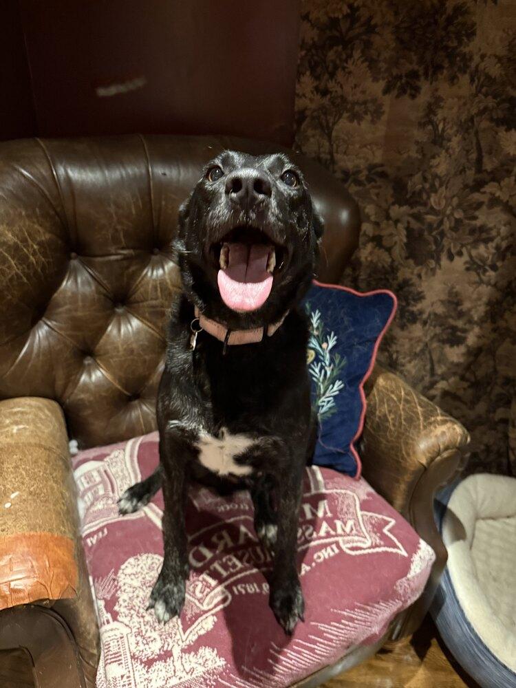 Whittaker thumbnail 2