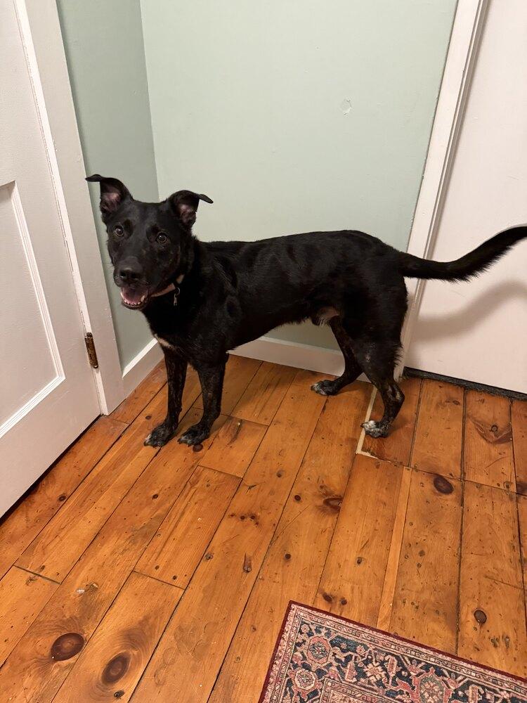 Whittaker thumbnail 4