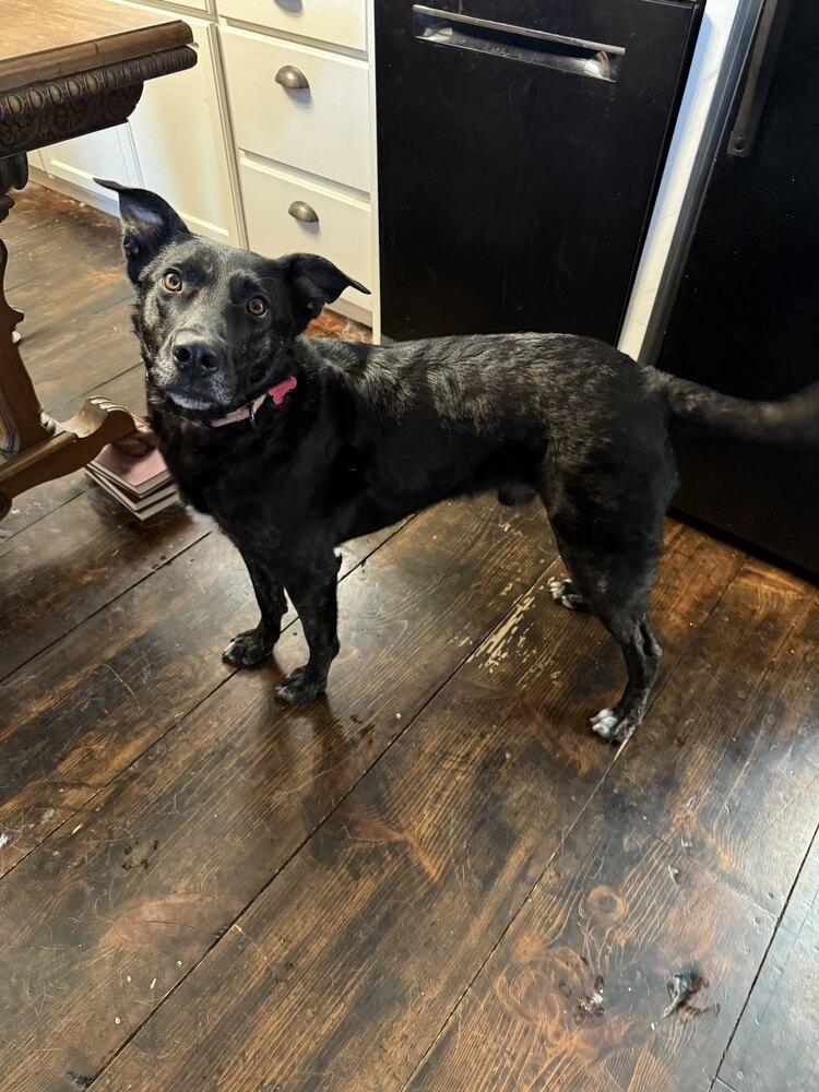 Whittaker thumbnail 6