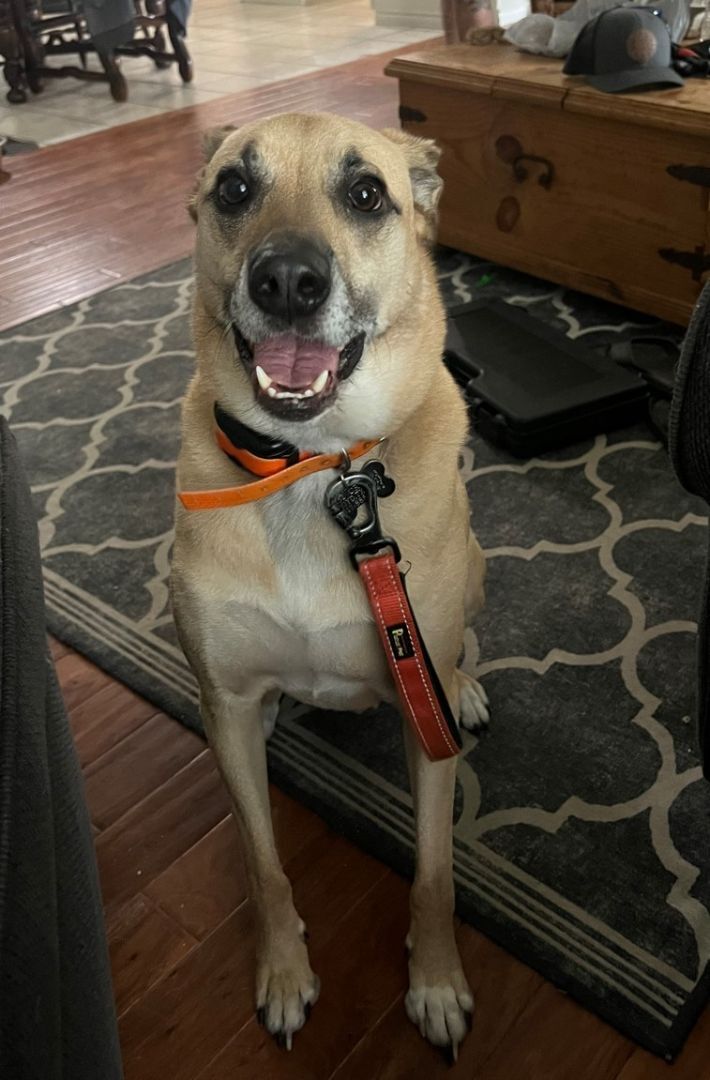 Gunner (CP) photo 2