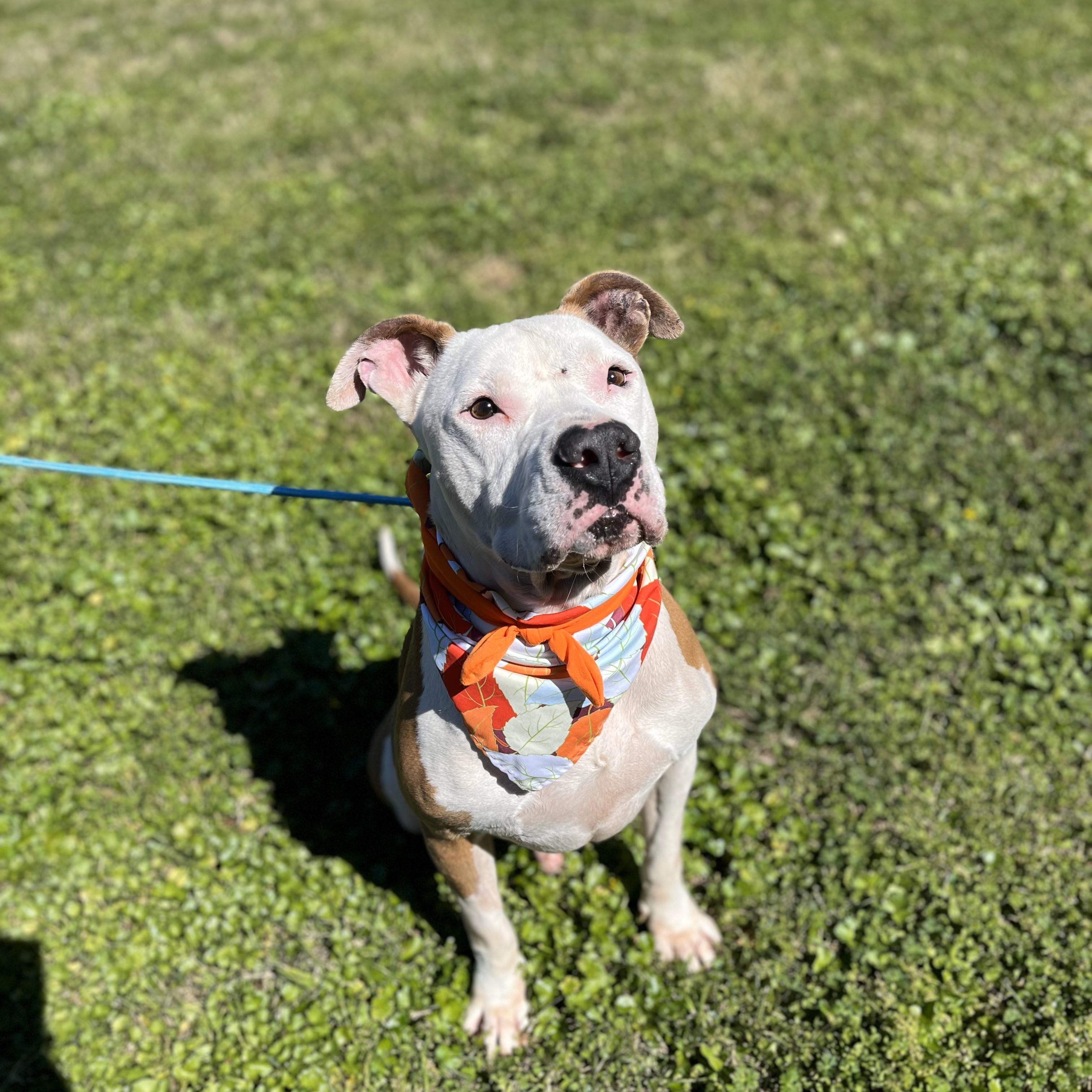 Coors — thumbnail 2