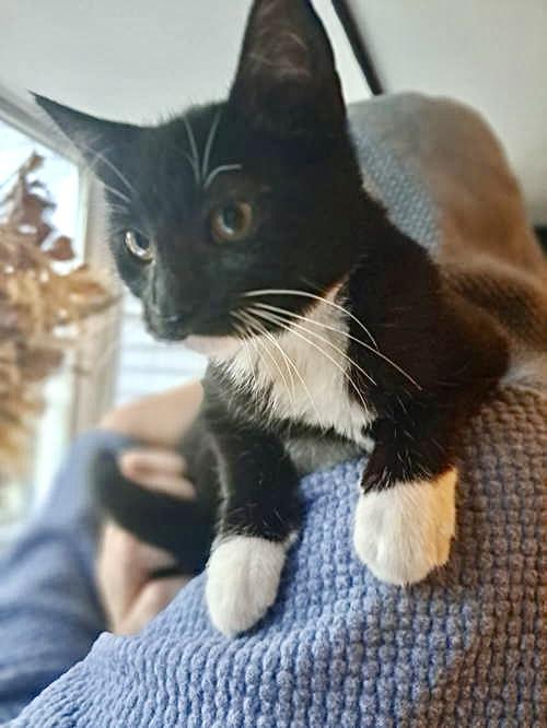 Boots, Willow Grove Area, (FCID 11/04/2025-123)