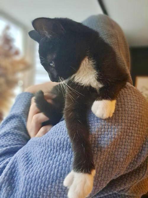 Boots, Willow Grove Area, (FCID 11/04/2025-123)