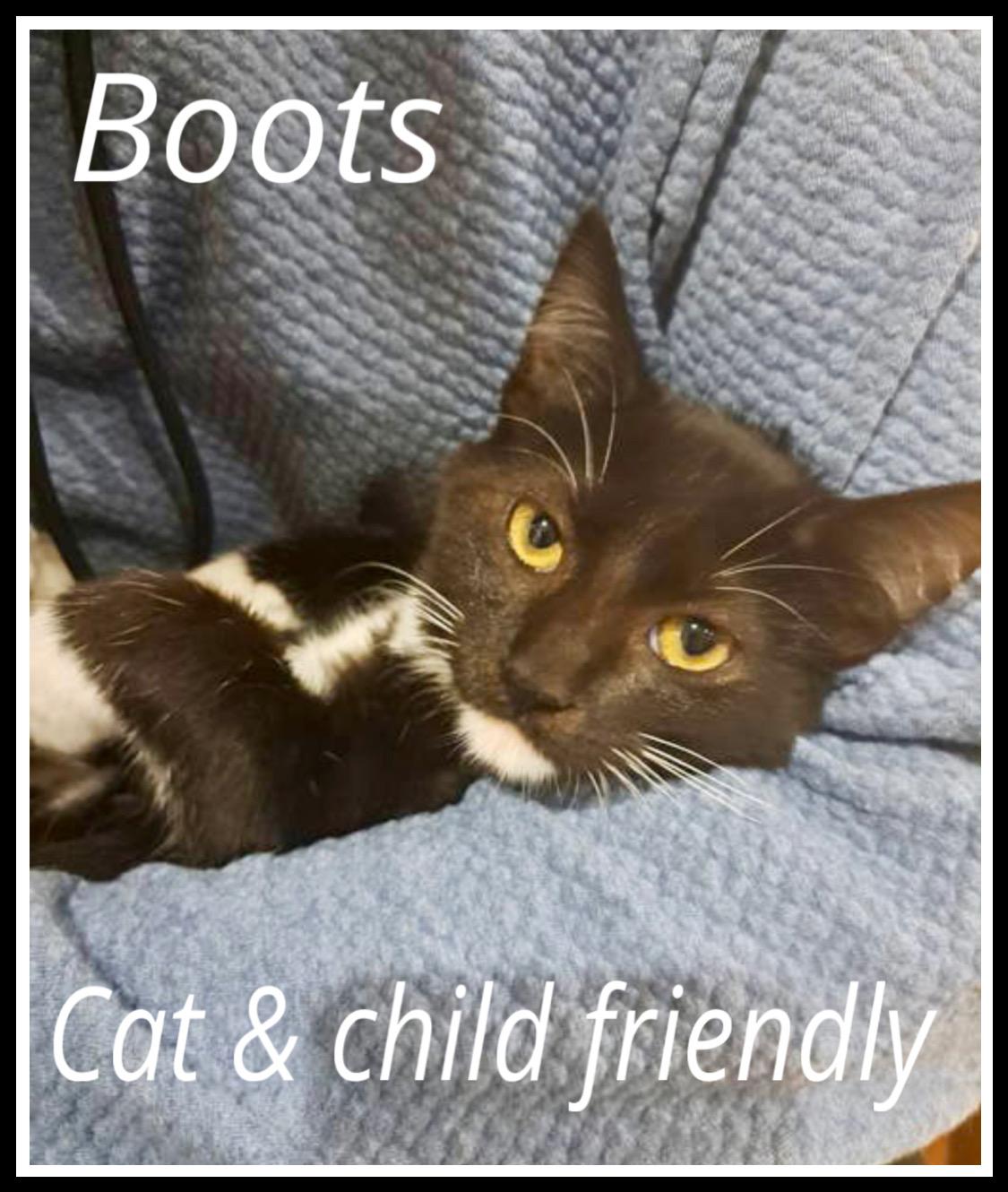 Boots, Willow Grove Area, (FCID 11/04/2025-123)