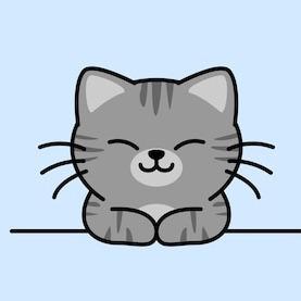Graywing, a Adoptable Domestic Short Hair in Norfolk, NE image 3/4