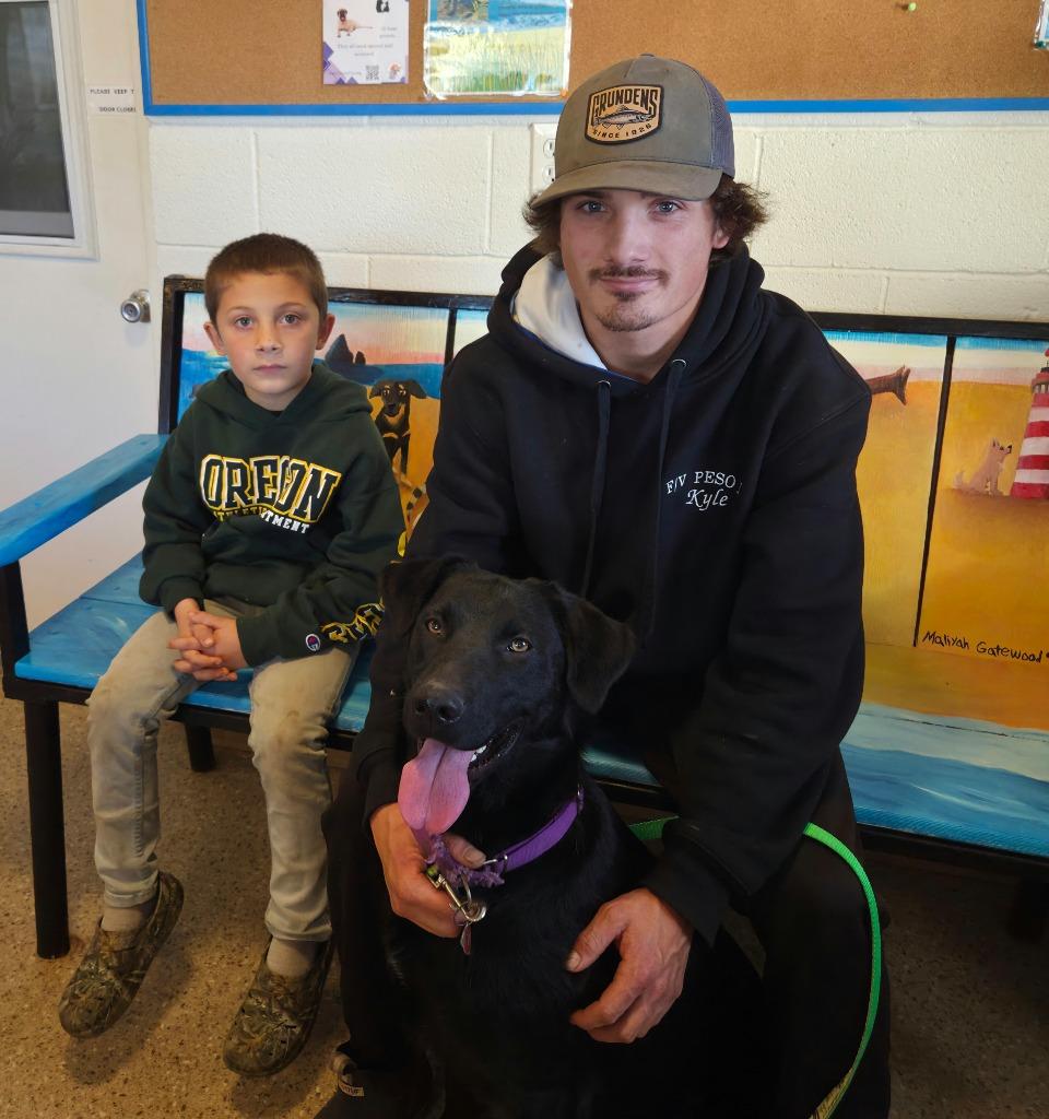 Enlarge Goose, a Adopted mixed breed in Gold Beach, OR image 2/3
