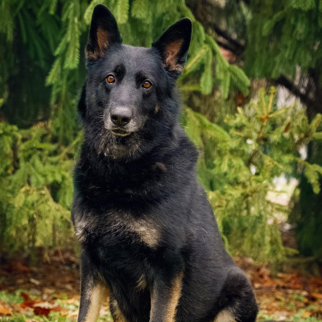 Jada — thumbnail 2