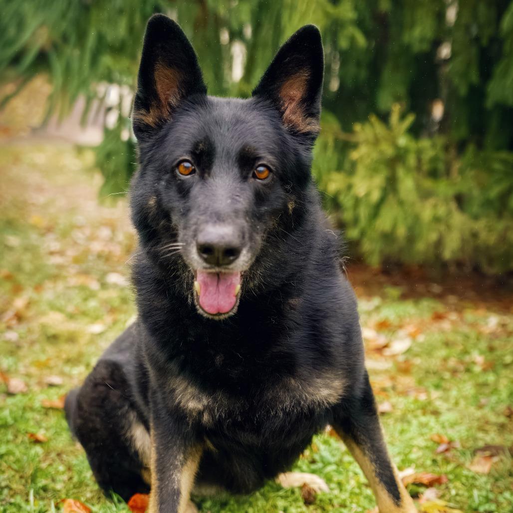 Jada — thumbnail 3