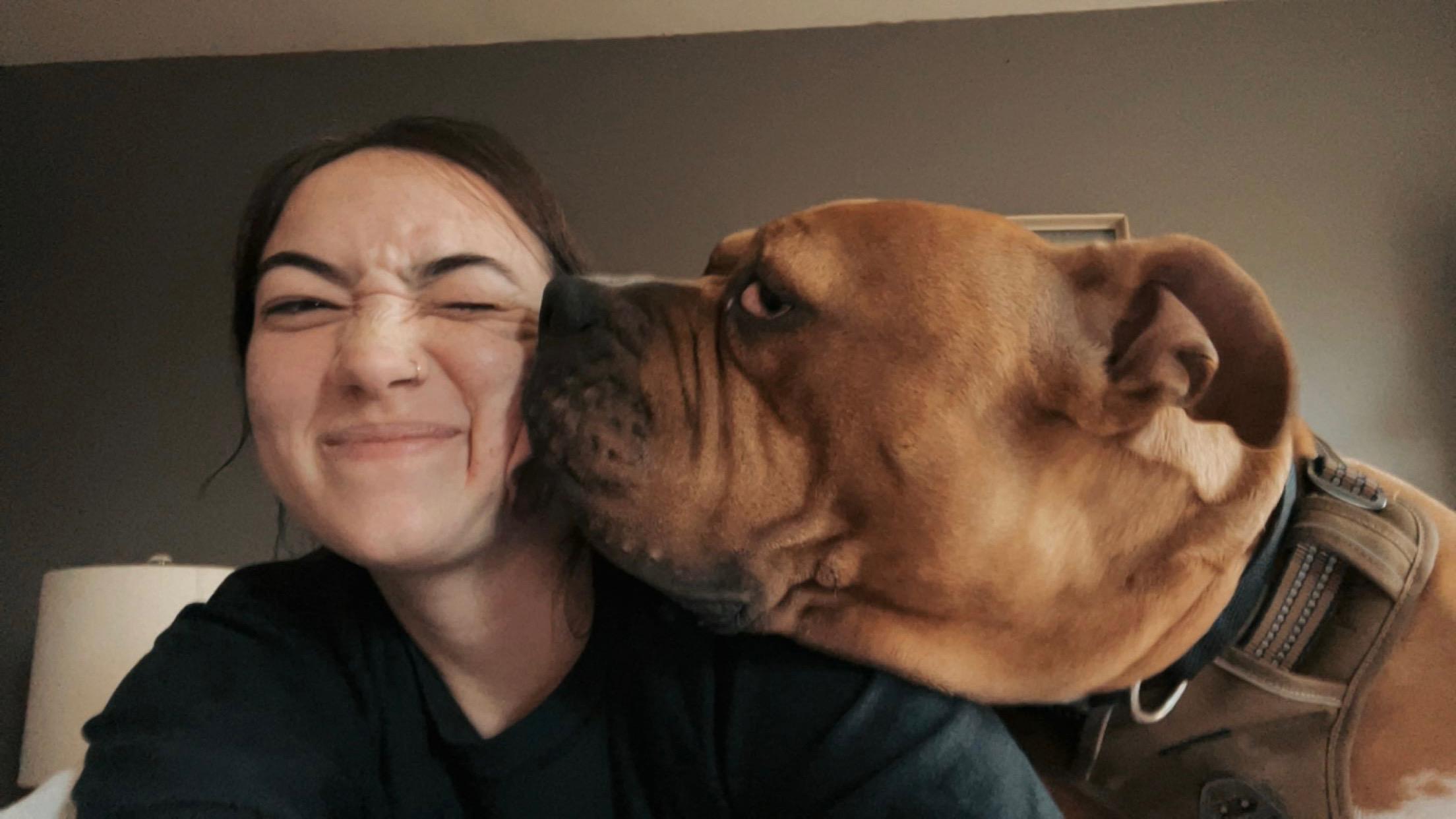 Enlarge Poe, a Adopted mixed breed in Jarrettsville, MD image 5/5