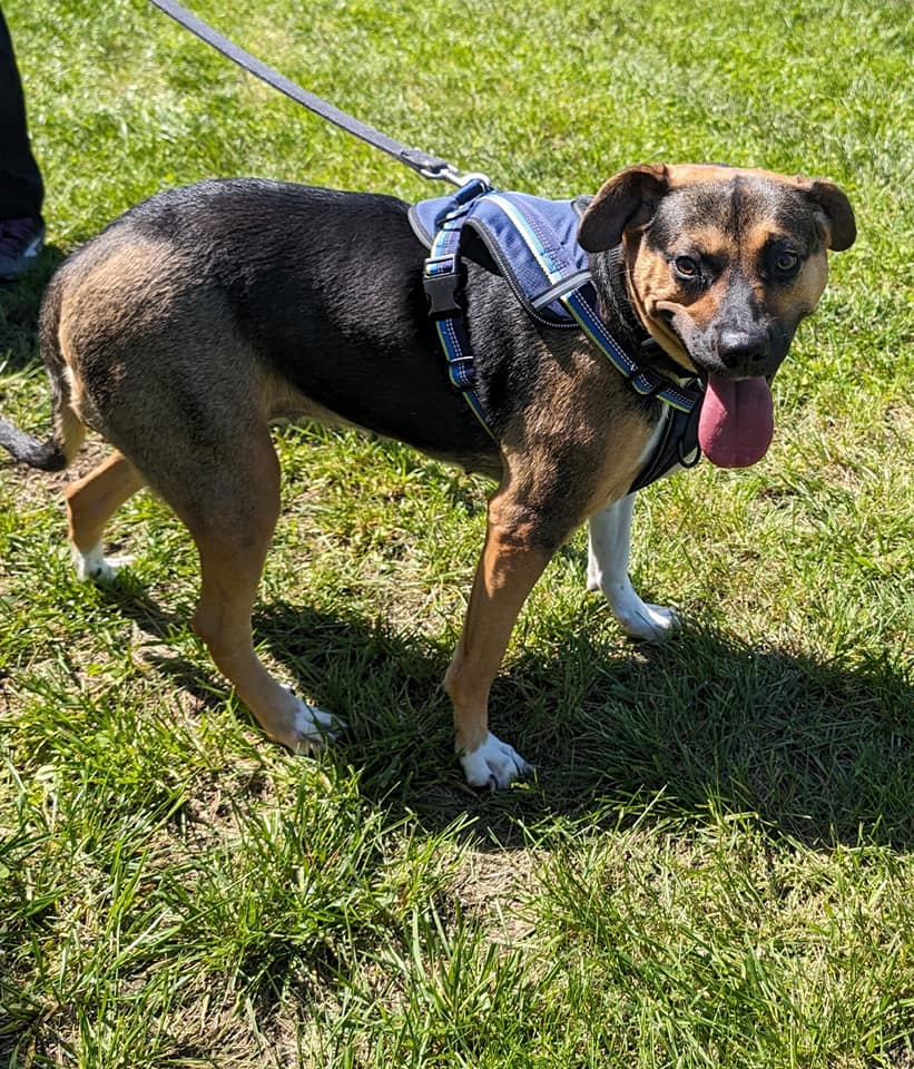 Nancy Ann thumbnail 2