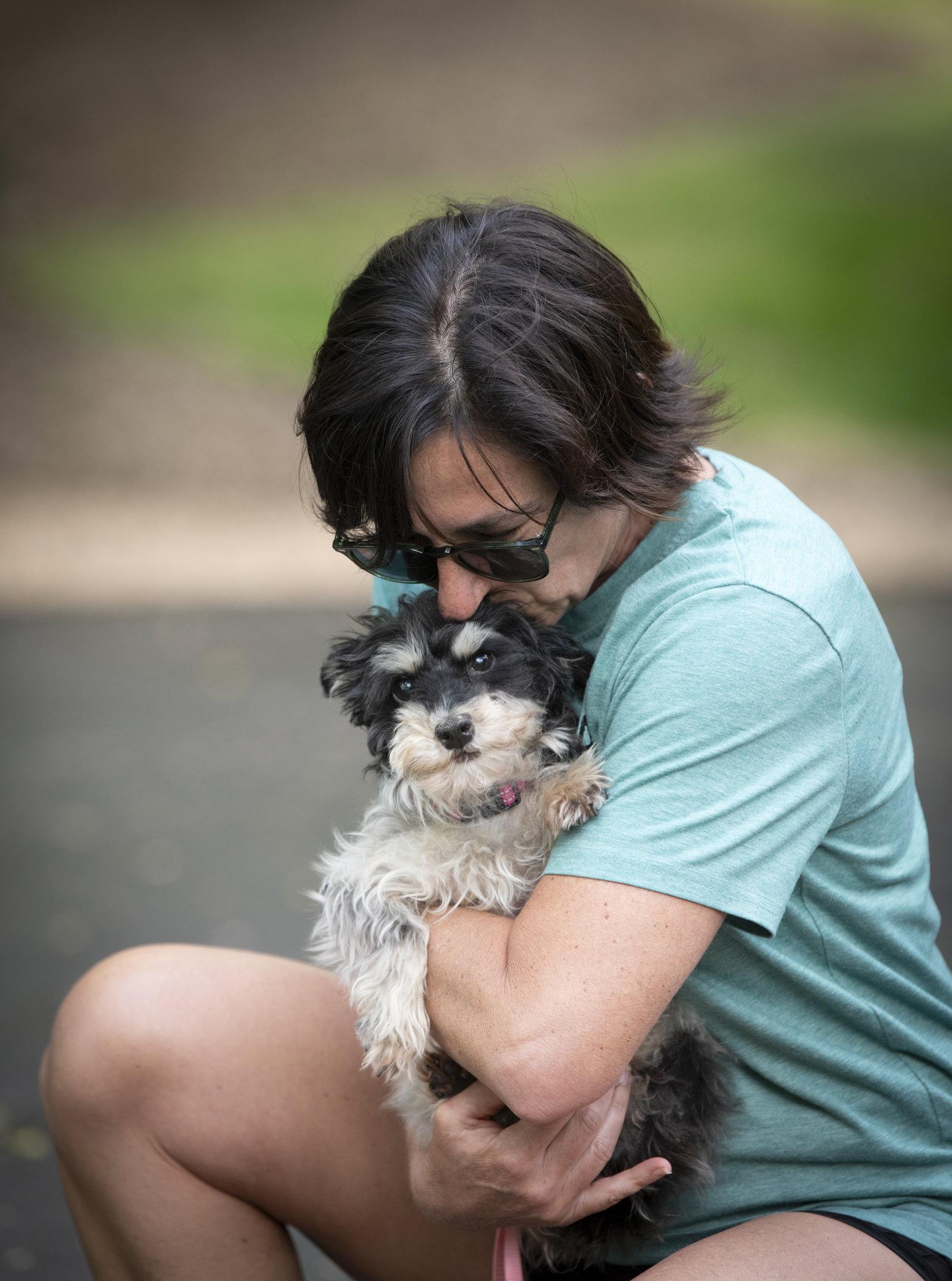 Brooklyn, Adoptable, Adult Female Yorkshire Terrier.