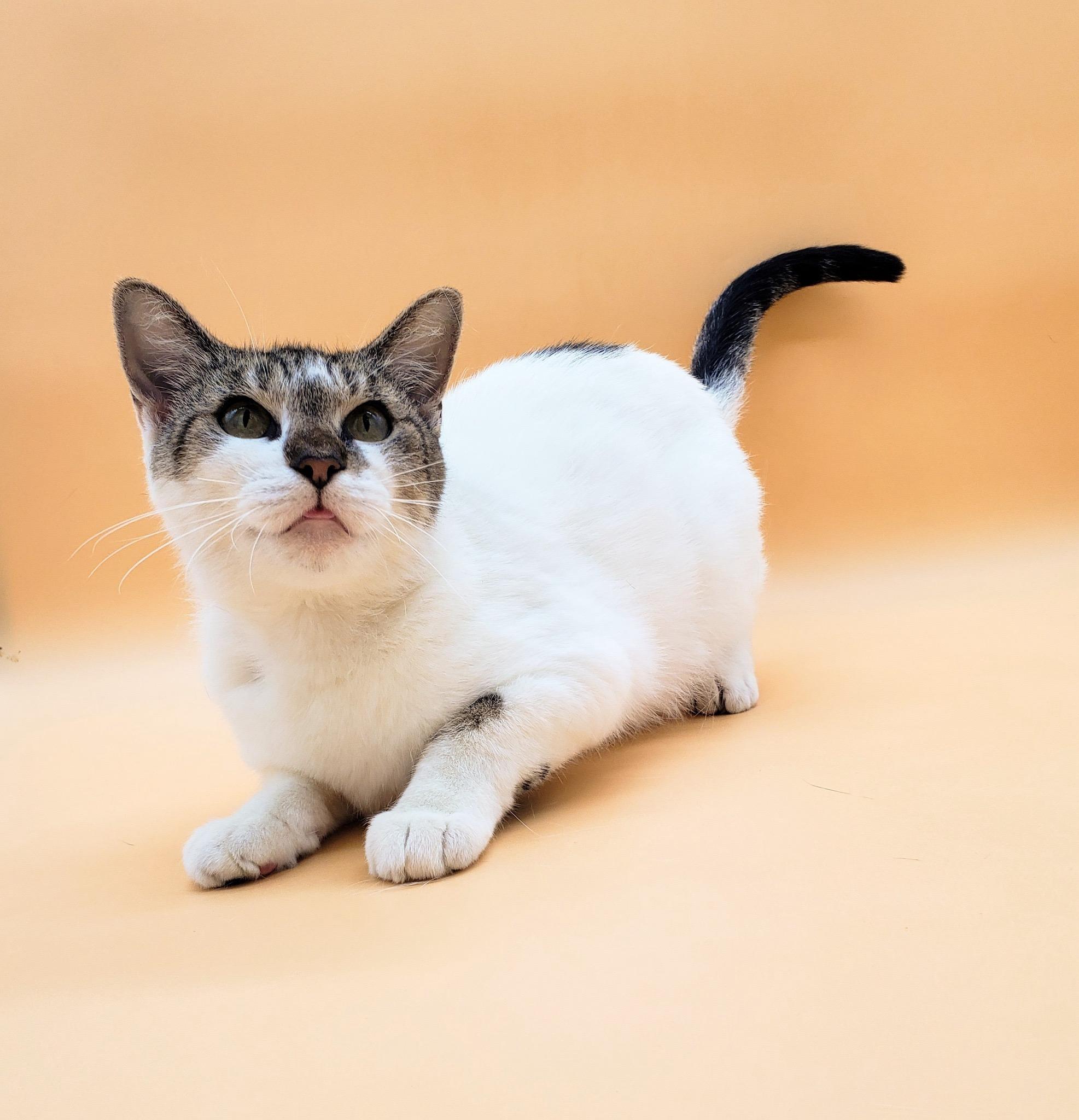 Kimmy — thumbnail 2