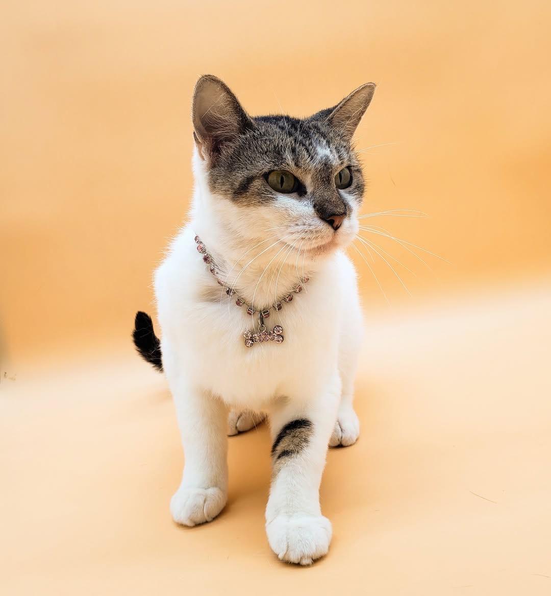 Kimmy — thumbnail 4