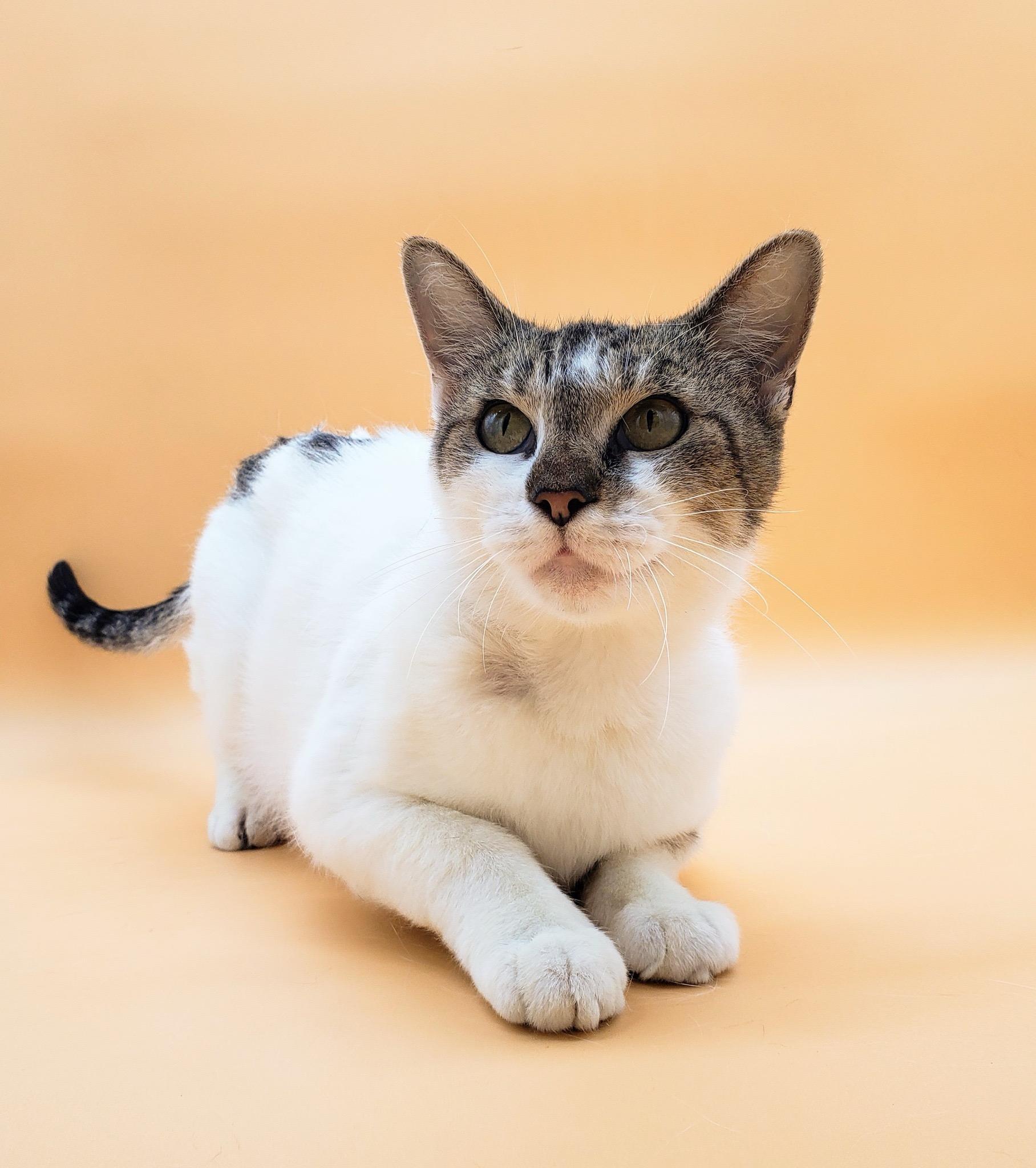 Kimmy — thumbnail 5