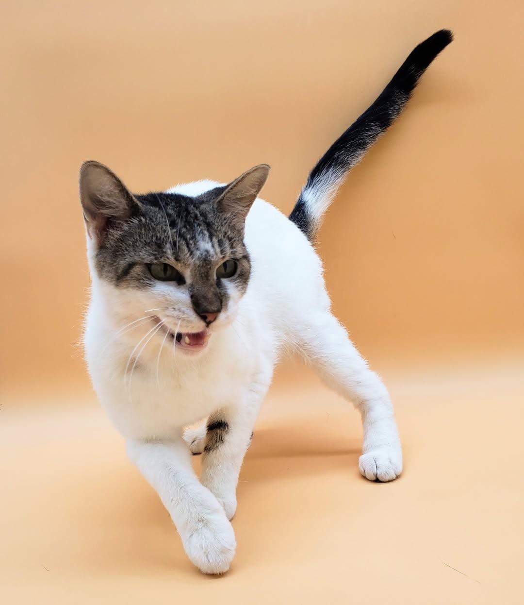 Kimmy — thumbnail 6