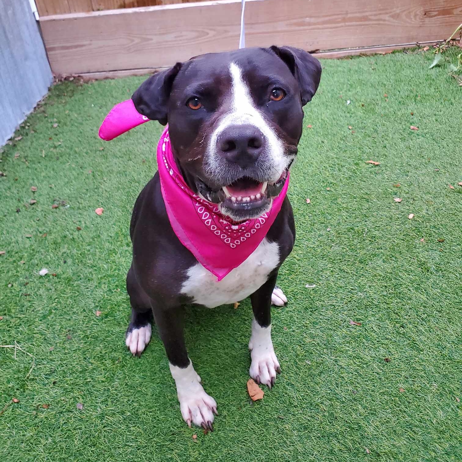 Jewel — thumbnail 2