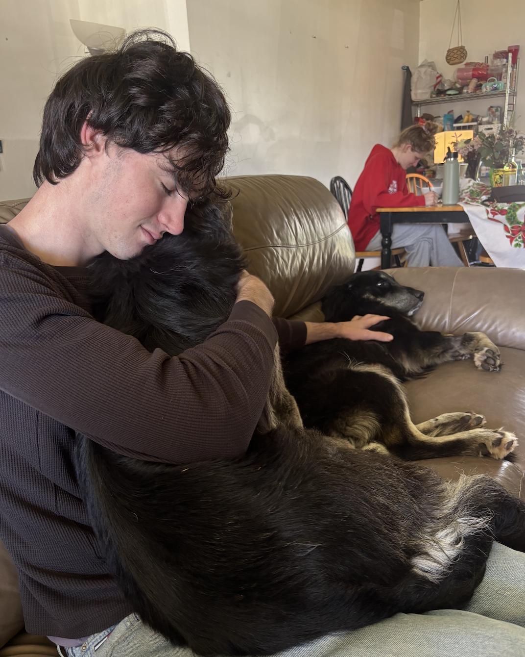 Enlarge Raven, a ADOPTABLE mixed breed in Sacramento, CA image 3/6