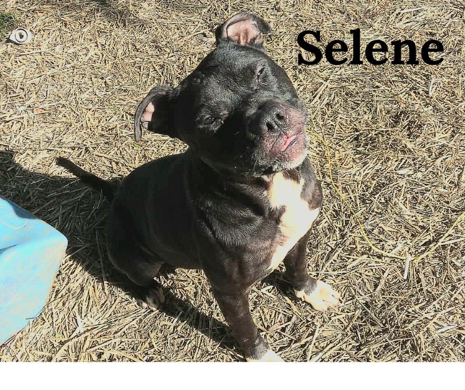 Selene