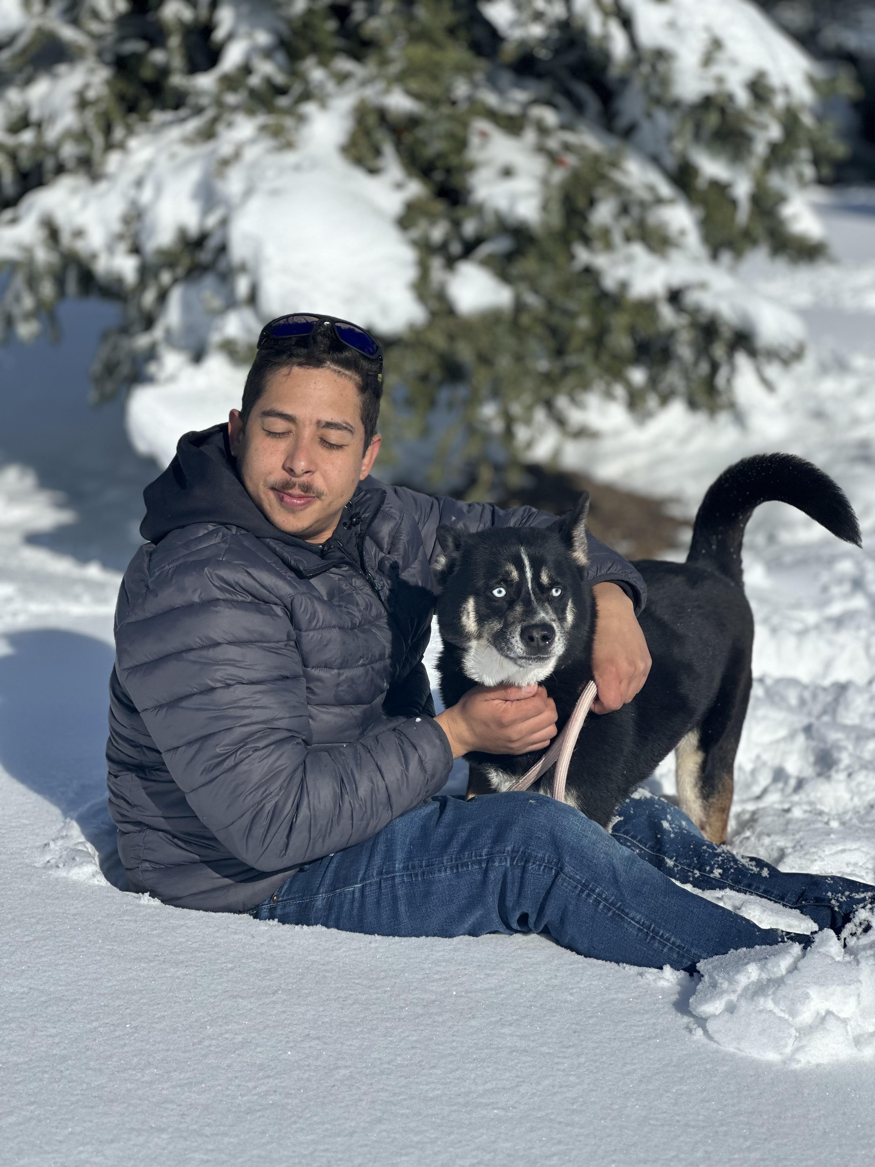 Armani, a Adoptable mixed breed in Portland, OR image 1/4