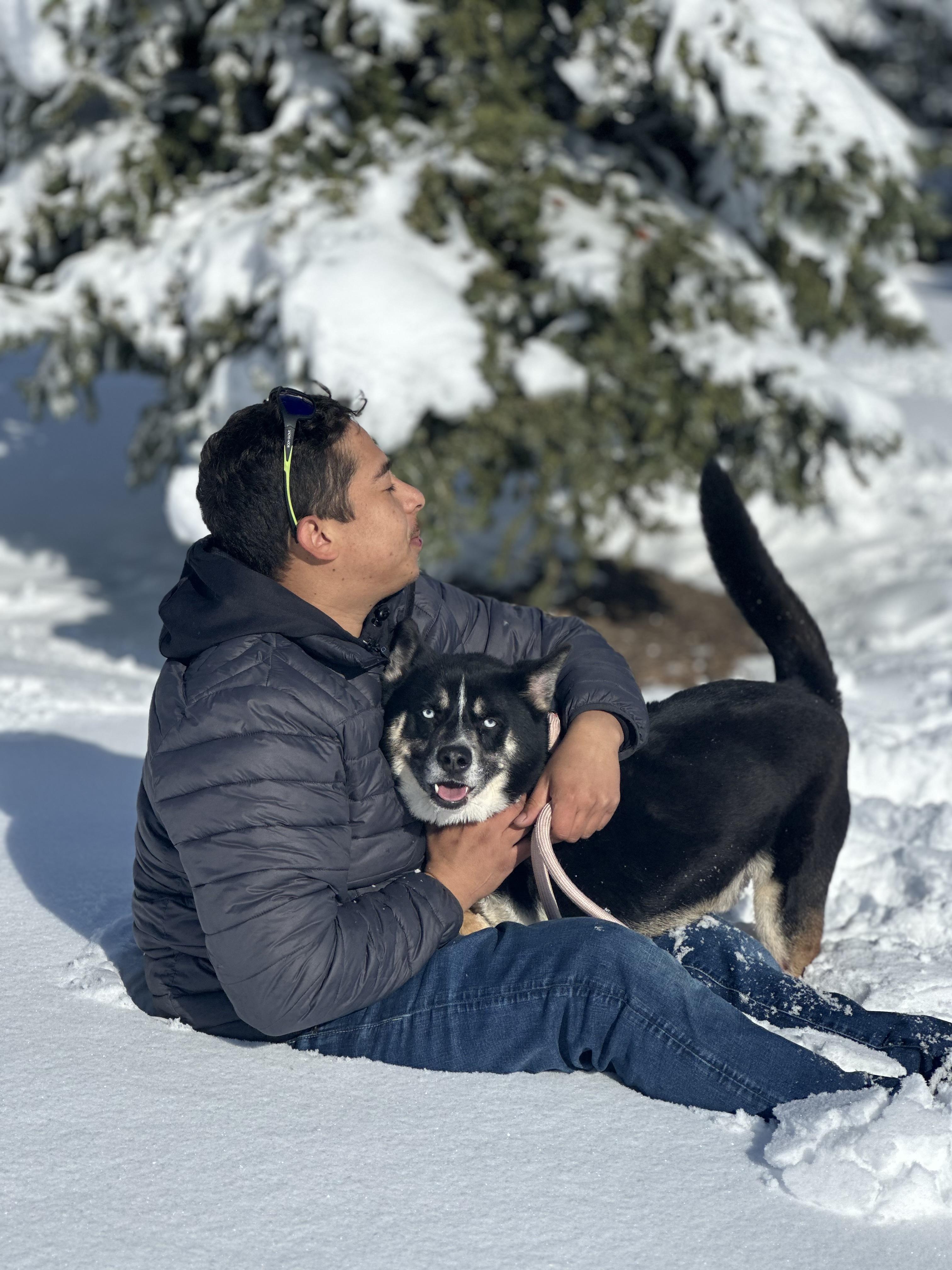 Armani, a Adoptable mixed breed in Portland, OR image 4/4