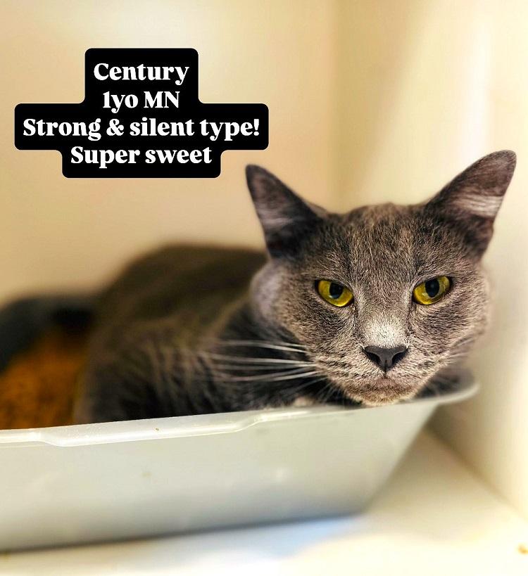 CENTURY