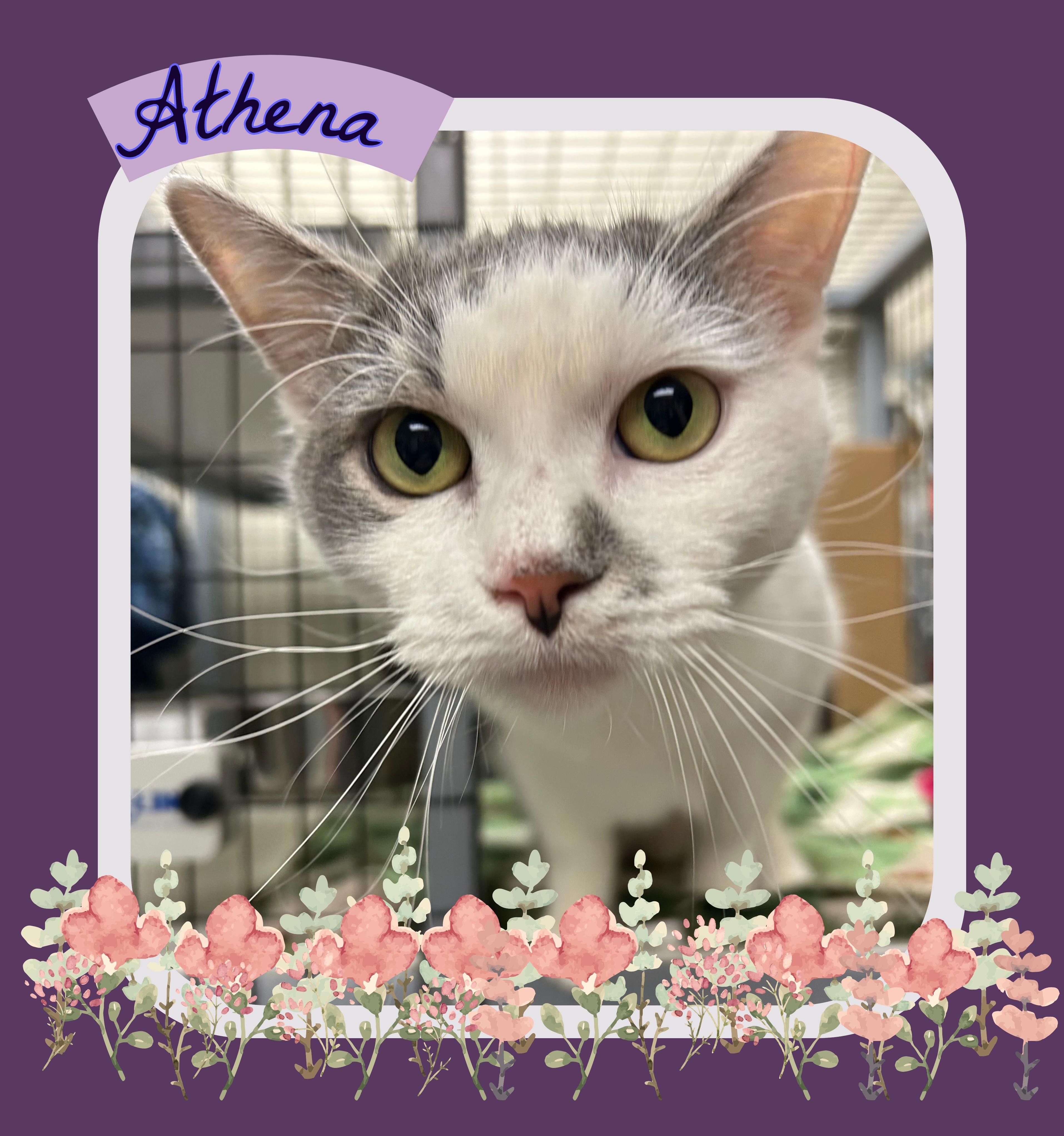 Athena