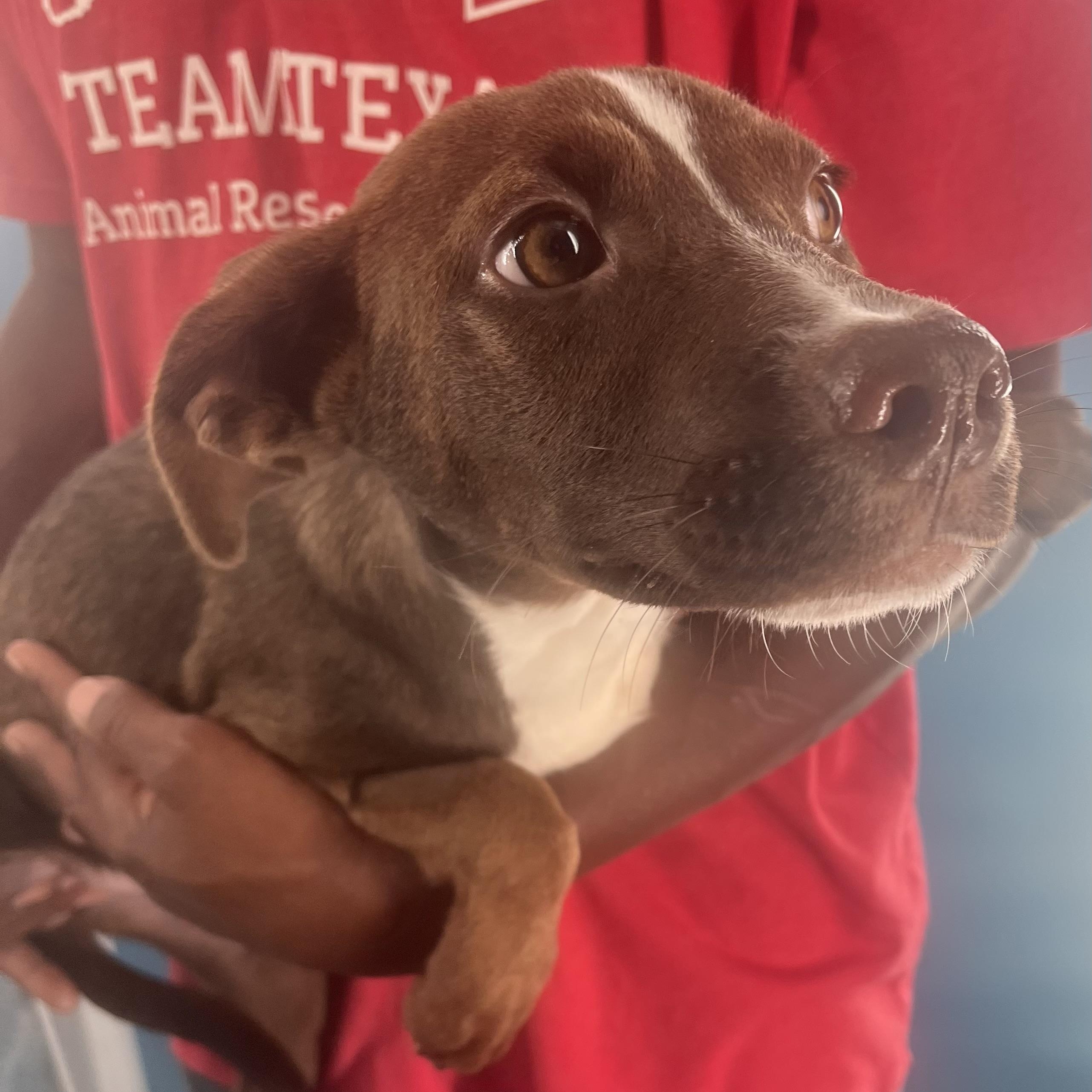 Mignon  Local Oct thumbnail 3