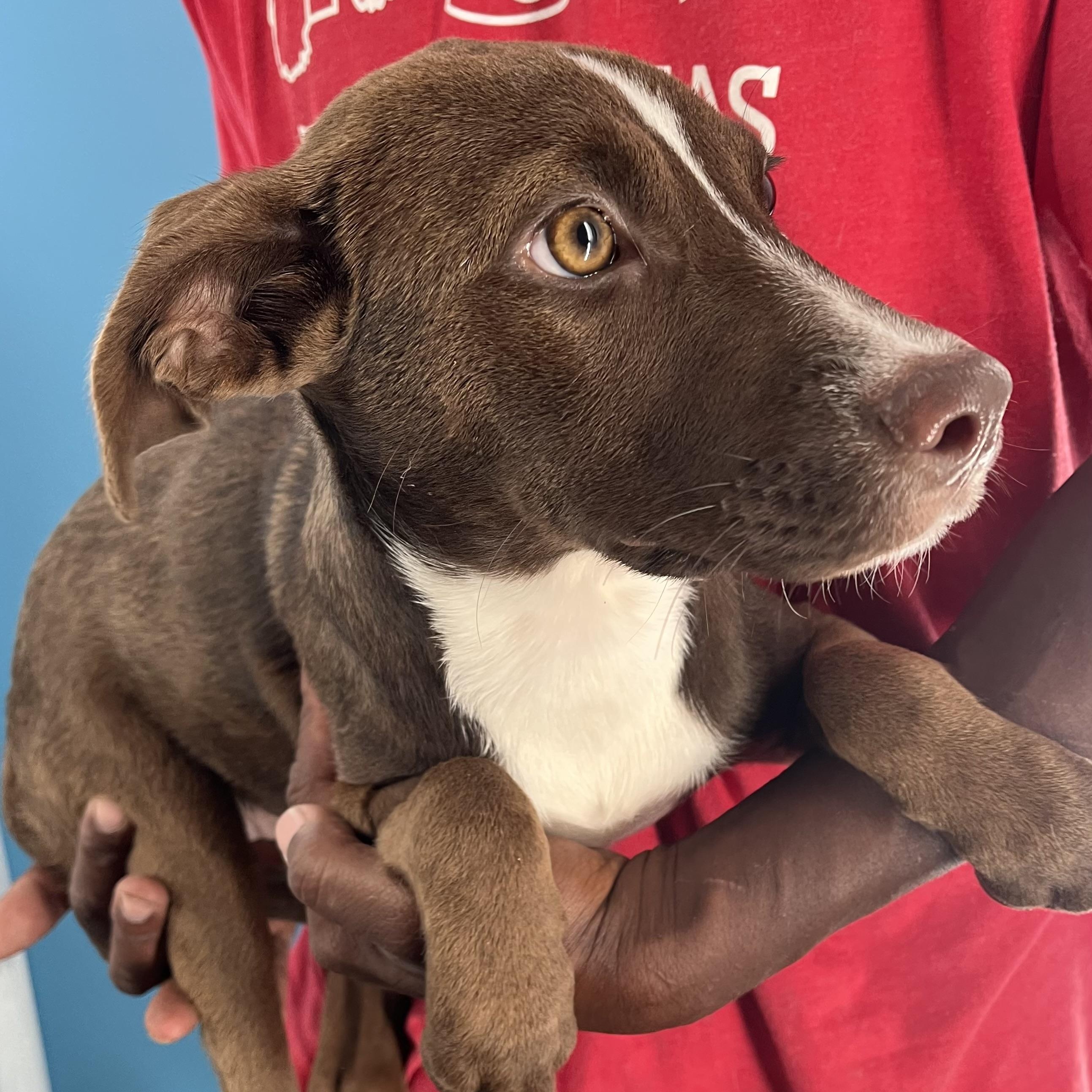 Mignon  Local Oct thumbnail 4