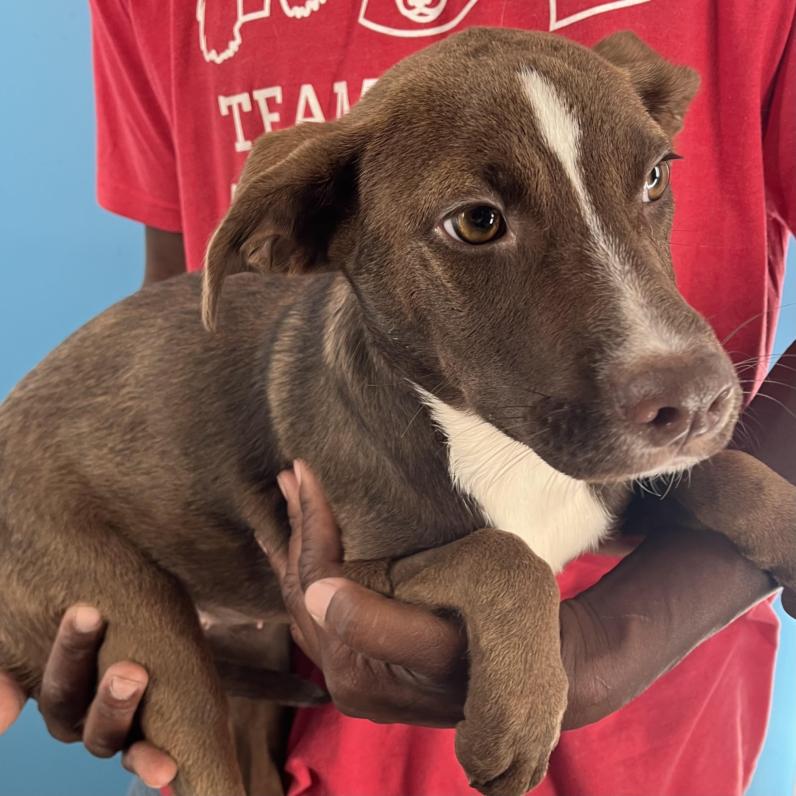 Mignon  Local Oct thumbnail 5