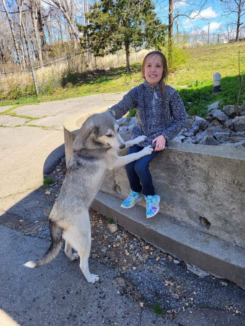 Enlarge DIXIE & DARCY , a Adopted mixed breed in Waverly, TN image 2/10