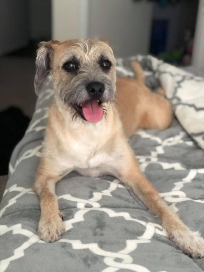 Tullia Wat thumbnail 4