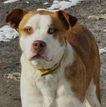 Cain photo 2