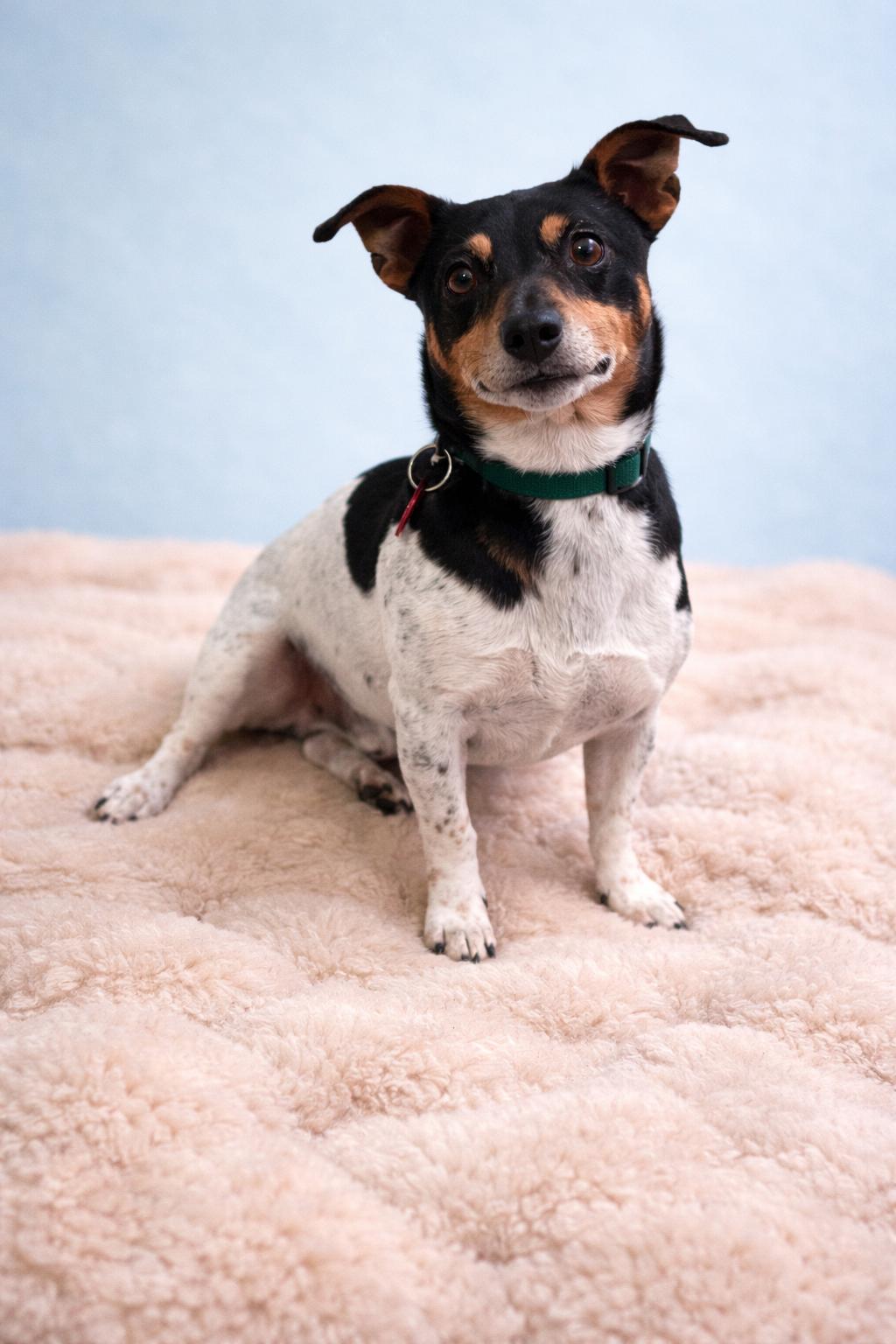 Lawrence thumbnail 2