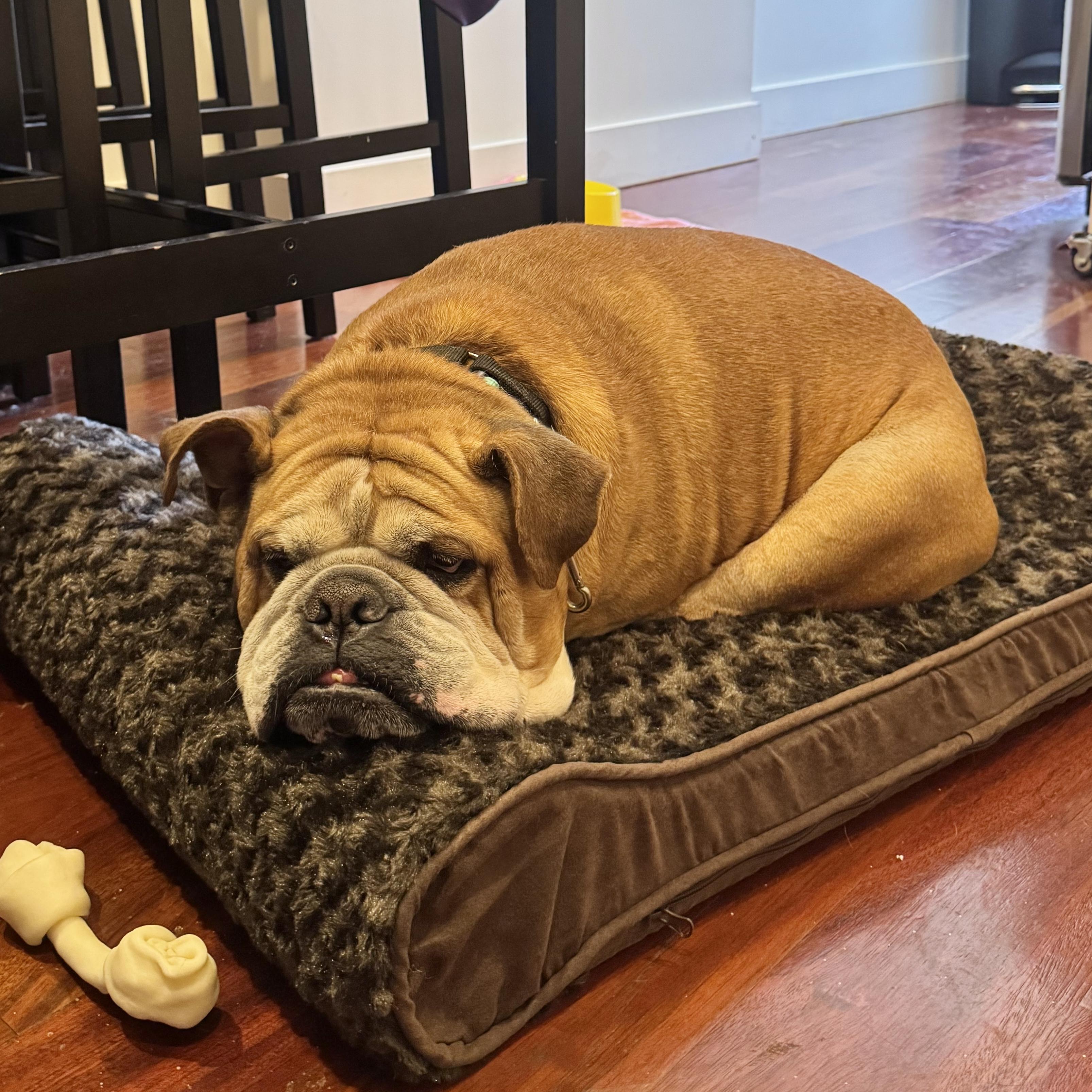 Castle Rock thumbnail 5