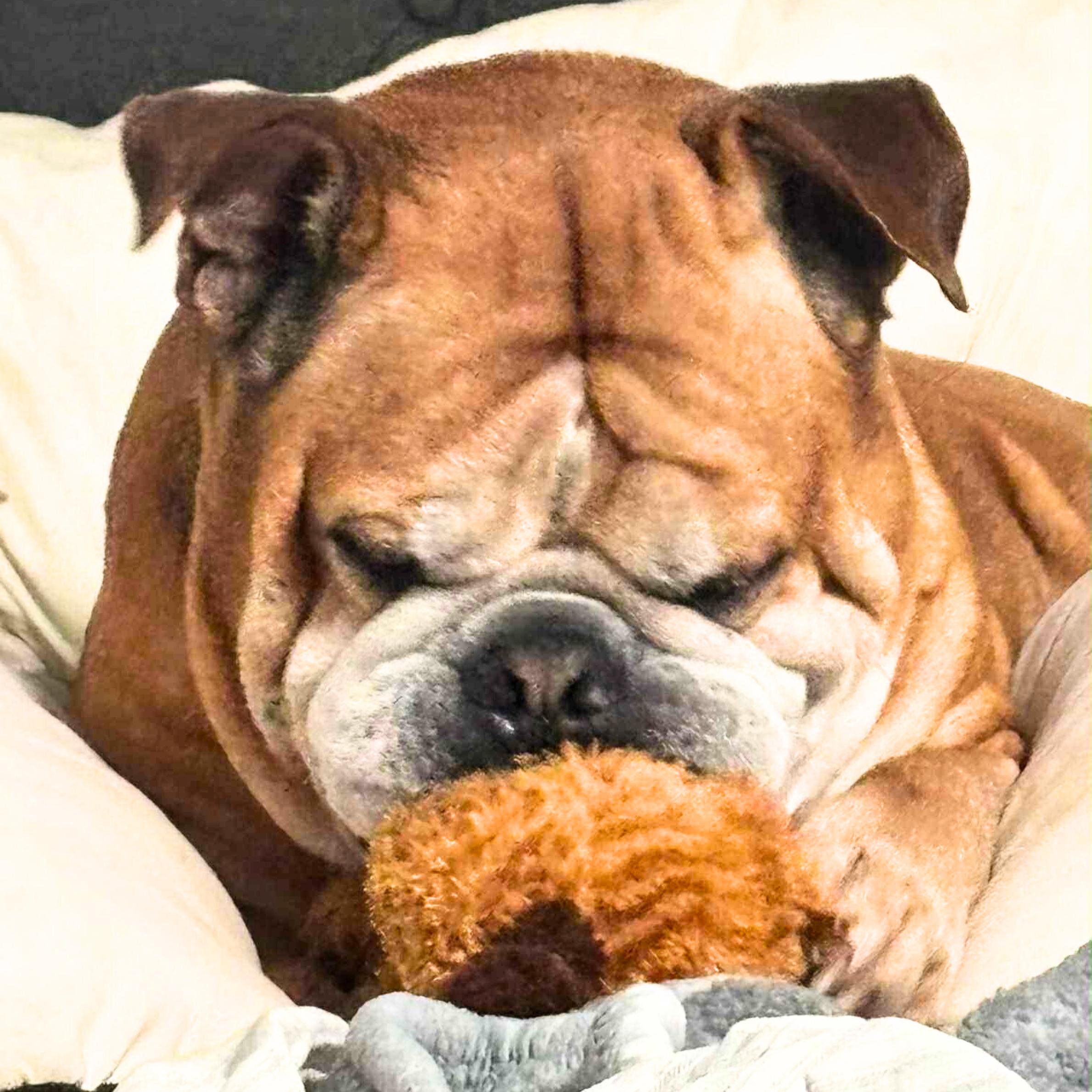 Castle Rock thumbnail 2