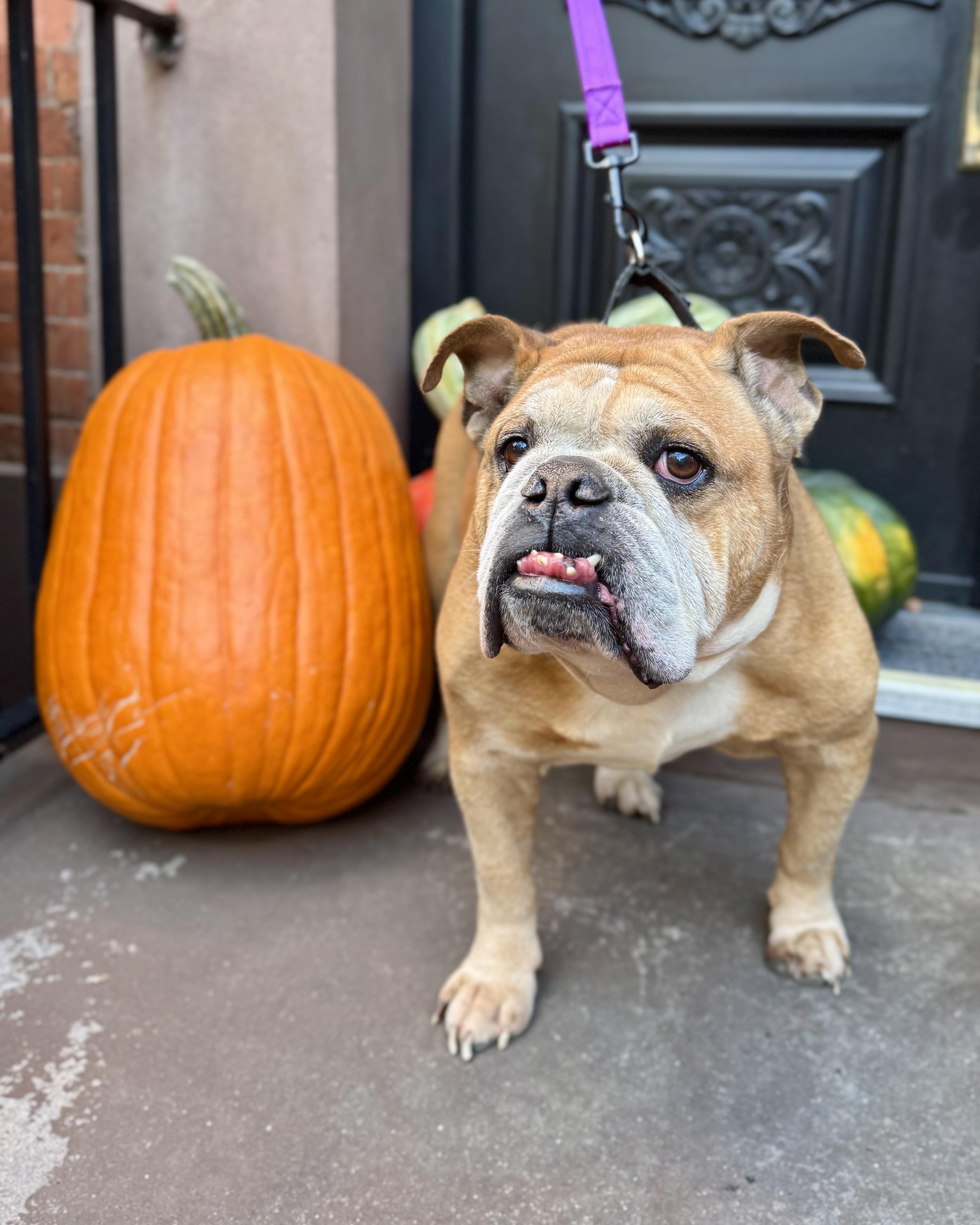 Castle Rock thumbnail 3