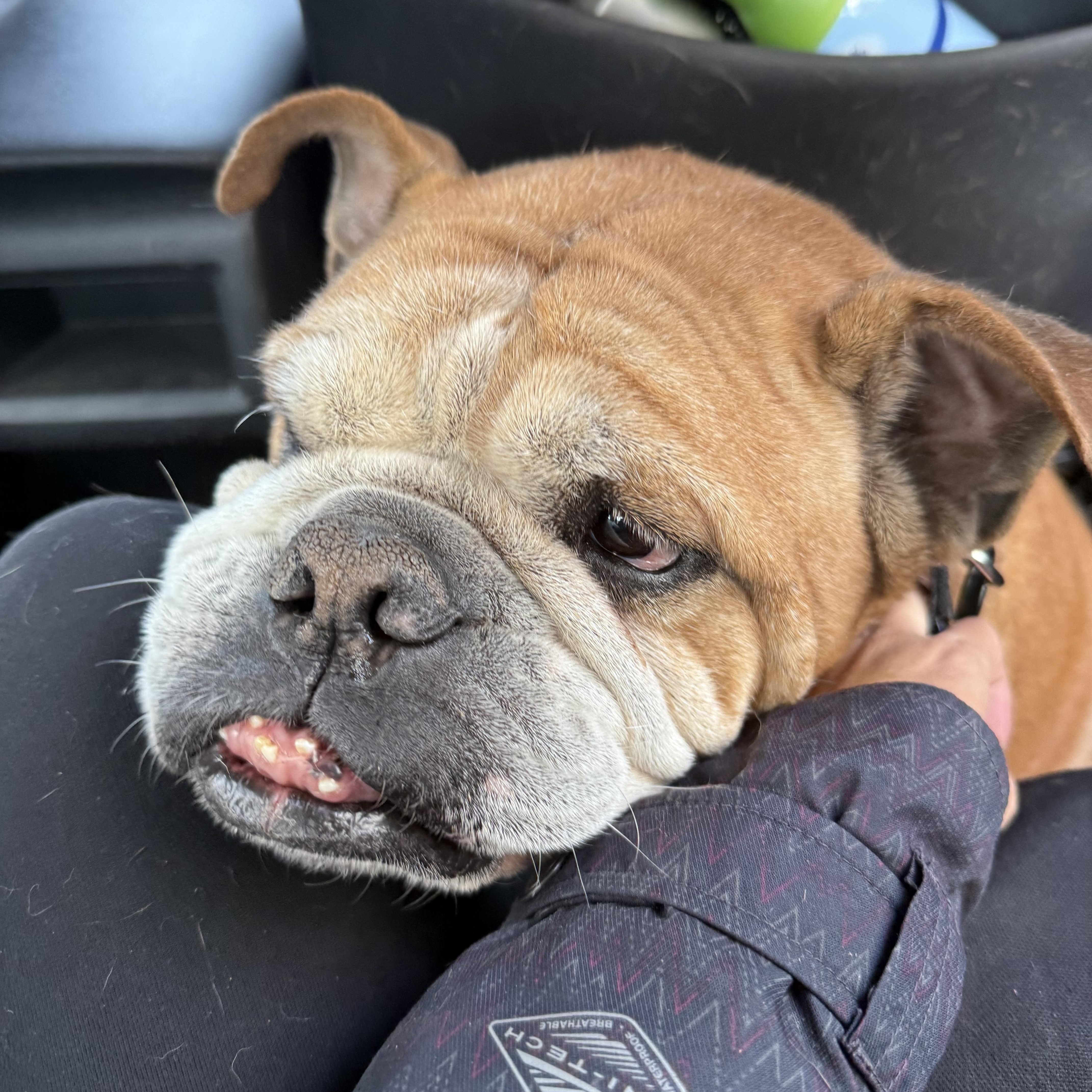 Castle Rock thumbnail 4