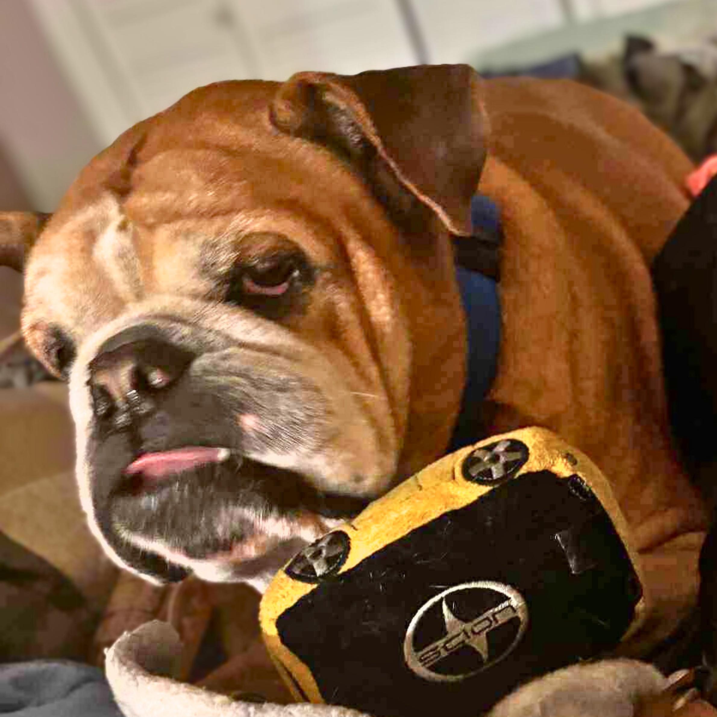 Castle Rock thumbnail 3