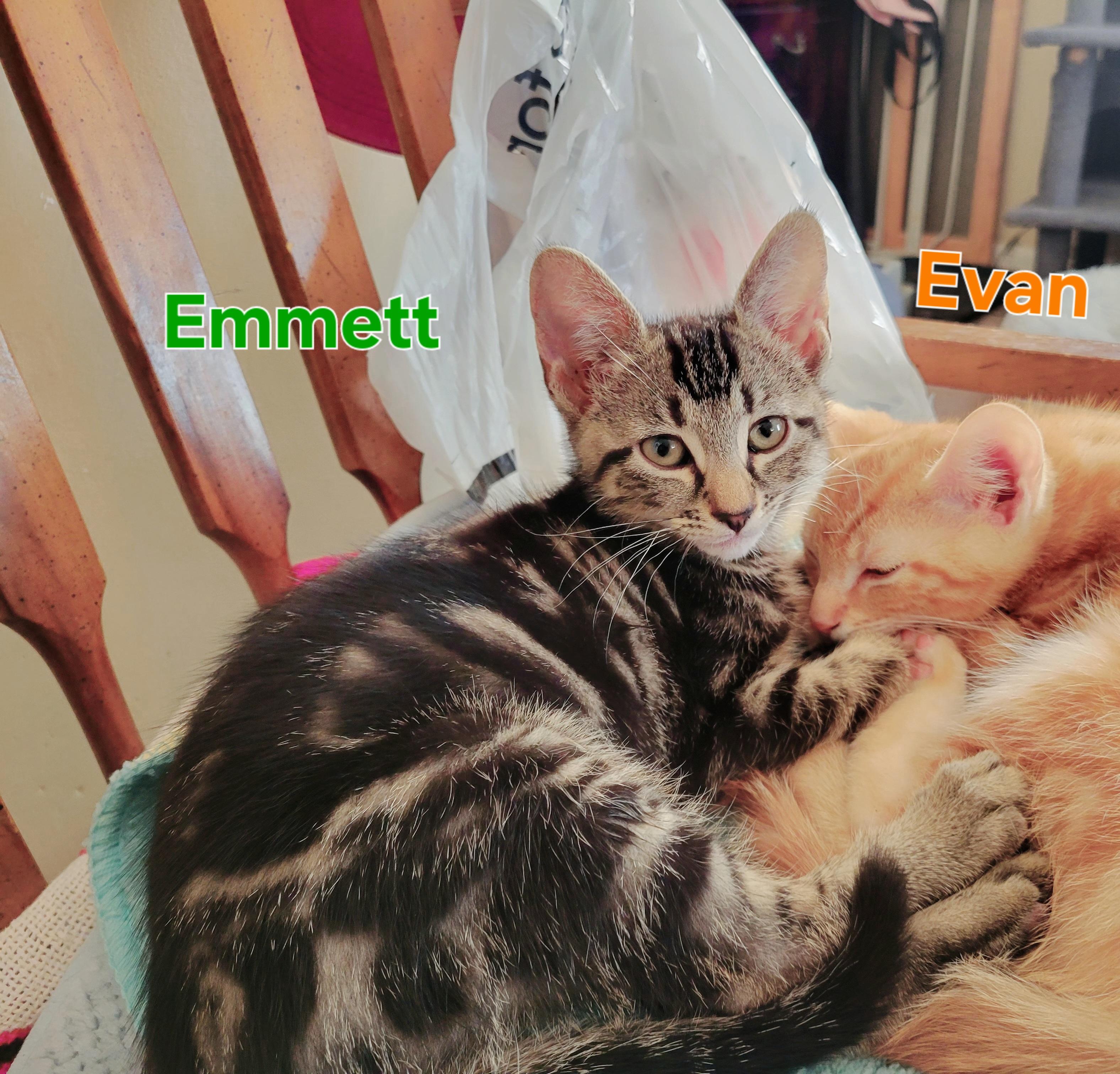 Emmett