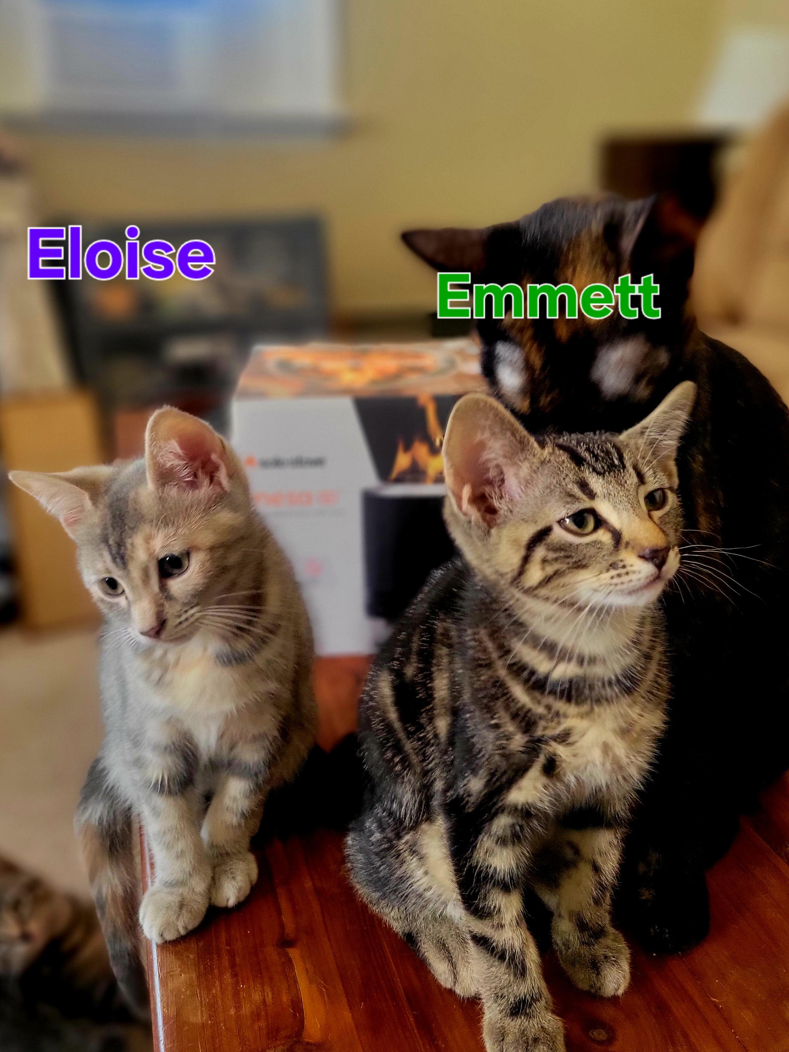 Emmett